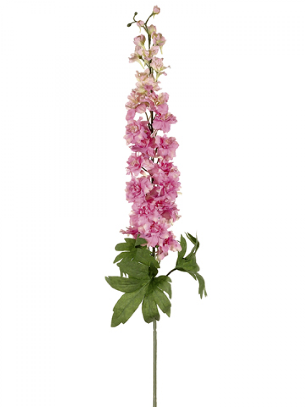 40" Delphinium Spray With 26 Flower And 6 Buds Pink - Delphinium Pink Png Clipart (800x800), Png Download