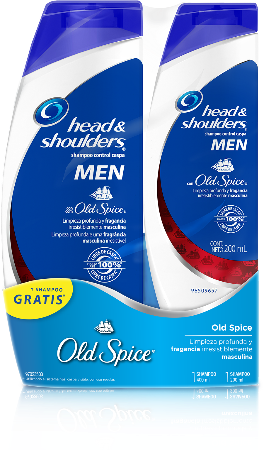 Head And Shoulders 3 En 1 Clipart (1407x1575), Png Download