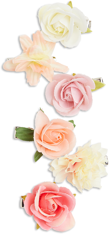 6-pack Hair Clips 3,99€ - Hybrid Tea Rose - Png Download (888x888), Png Download