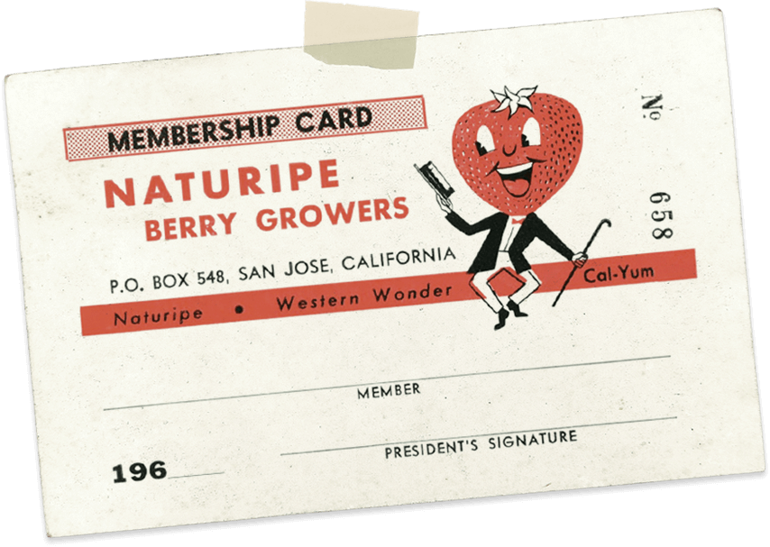 1930 - Bulletin De Vote Clipart (854x607), Png Download