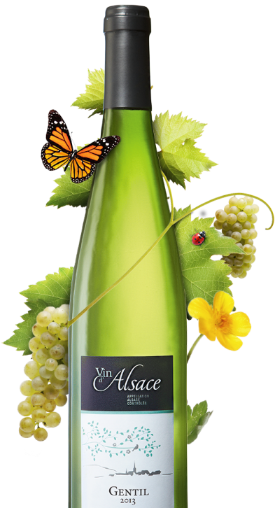 <p>gentil D'alsace - Vins D'alsace</p> - Domaine De Canton Clipart (448x798), Png Download