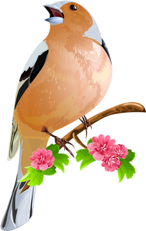 Bird On The Flowering Branch Icon Font, Print Fonts, - ภาพ วาด นก สวย ๆ Clipart (499x800), Png Download