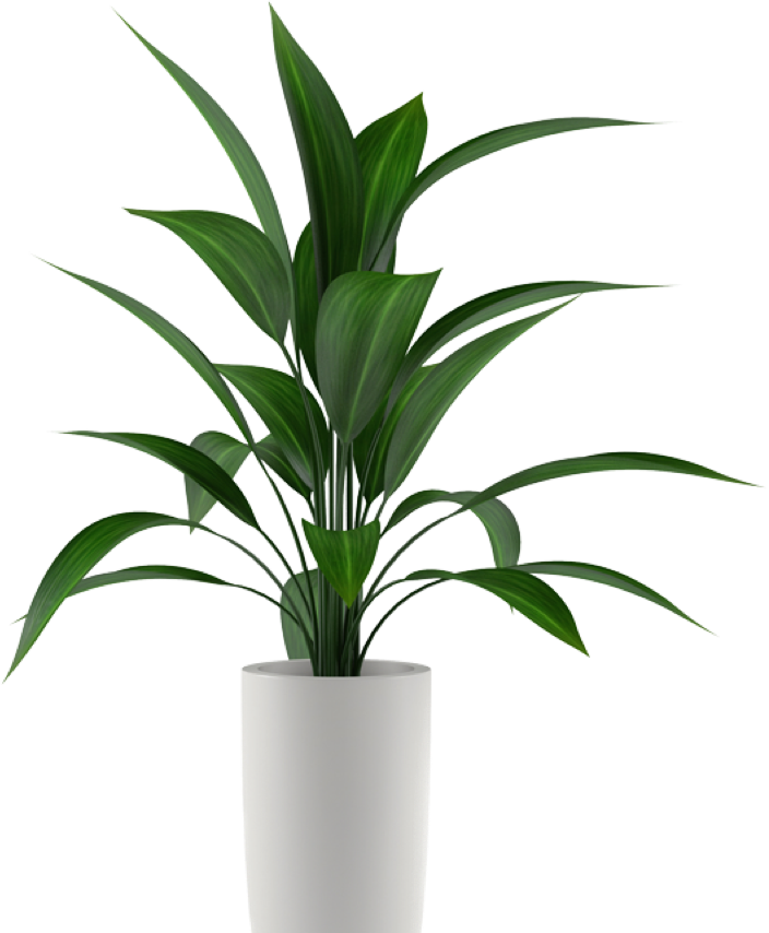 Really Nice Things Clipart (704x854), Png Download