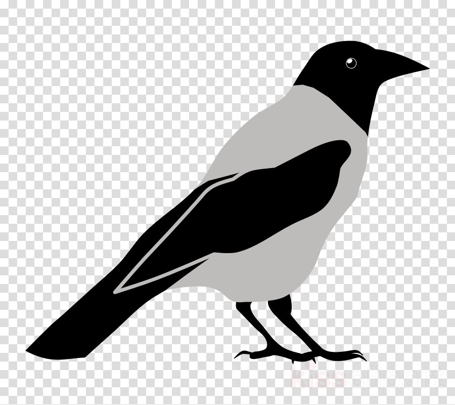 Crow Clipart Eurasian Magpie Clip Art , Png Download - Imagenes Sad De Los Simpson Lisa Transparent Png (900x800), Png Download