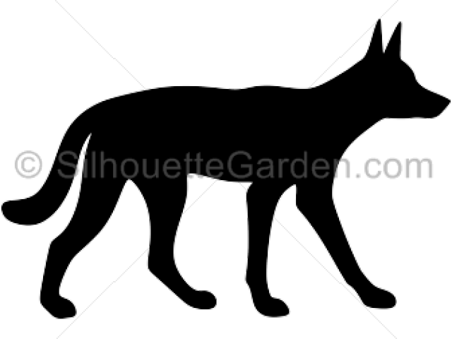 Dingo Silhouette Cliparts - Dingo Silhouette Png Transparent Png (640x480), Png Download