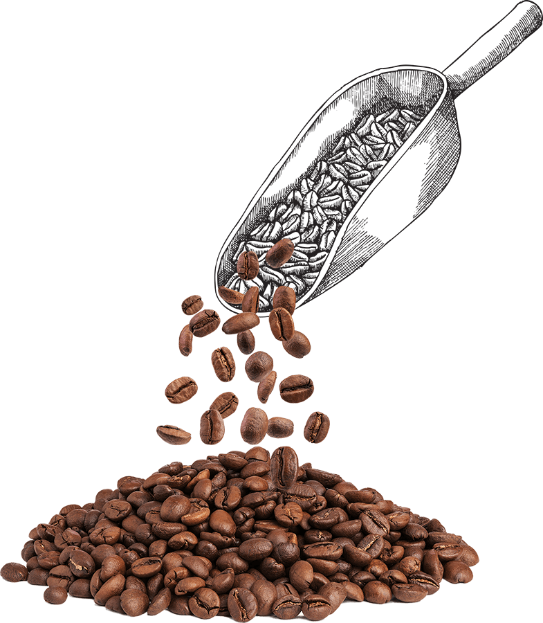 Scoop - Coffee Clipart (785x900), Png Download
