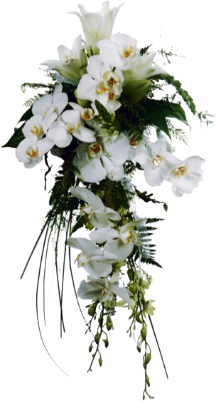 Ramo De Rosas Blancas Png - Flores Blancas Png Clipart (600x600), Png Download