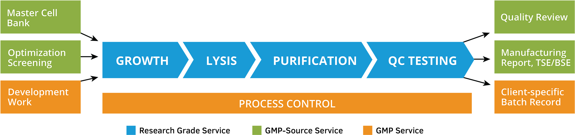 Plasmid Dna Production Clipart (2000x522), Png Download