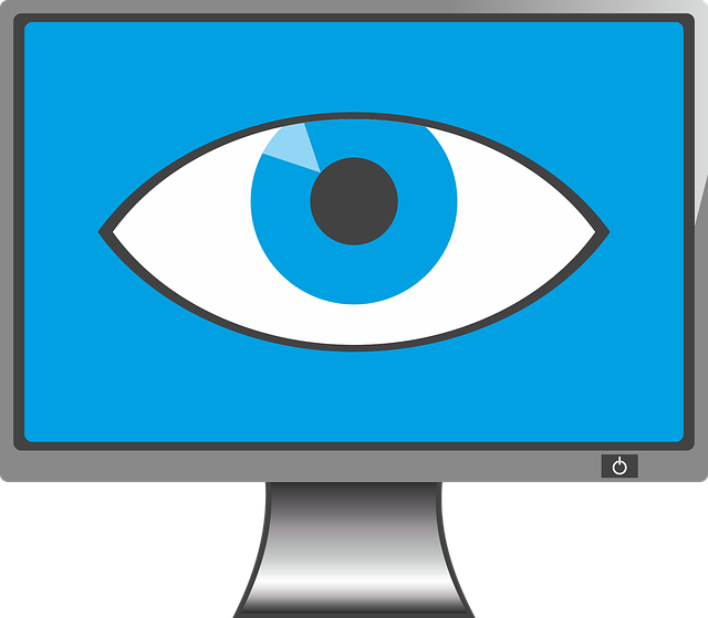 El Tribunal Supremo Reafirma Su Visto Bueno Al Acceso - Computer Eye Png Clipart (640x559), Png Download