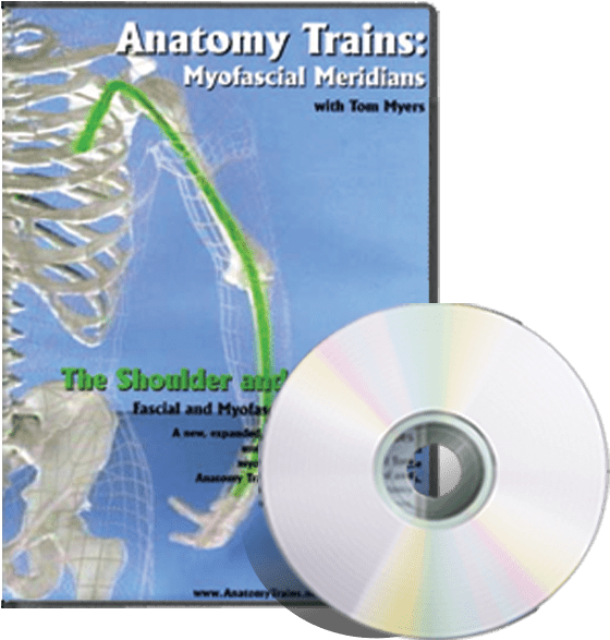 Anatomy Trains Vol - Cd Clipart (586x589), Png Download