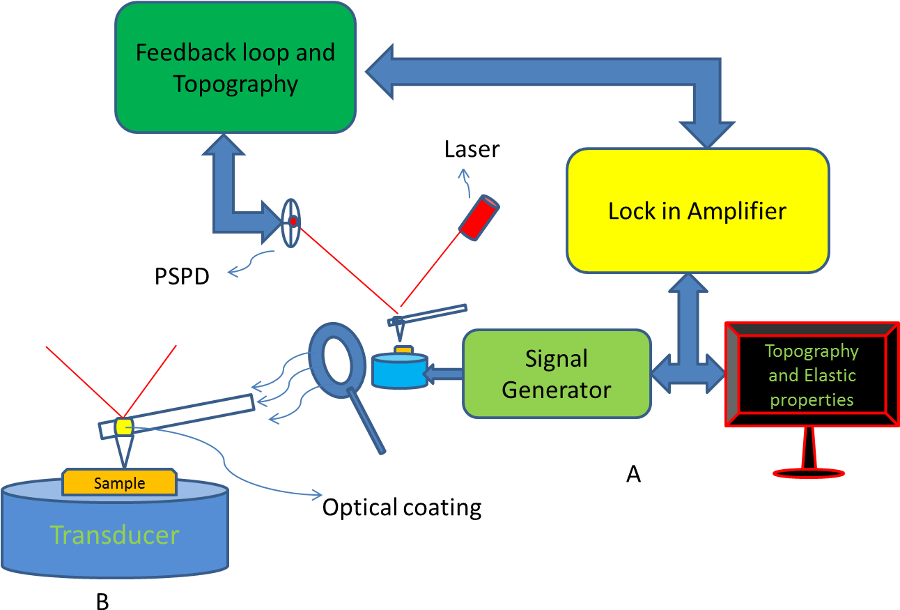 Atomic Force Acoustic Microscopy - Scanning Acoustic Microscopy Principle Clipart (1315x907), Png Download