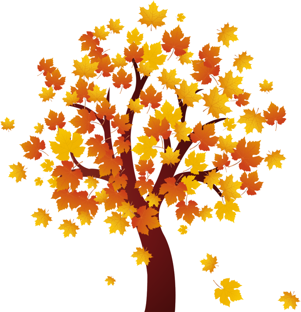 Autumn Tree Clip Art - Png Download (989x1024), Png Download