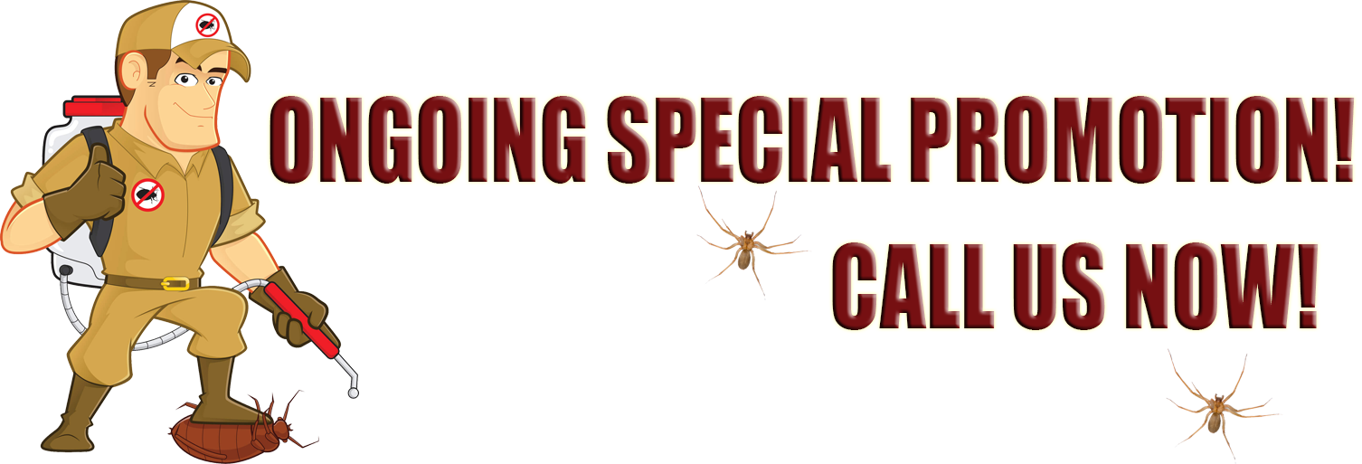 A Reputable Pest Control Company - Mosquito Clipart (1506x513), Png Download