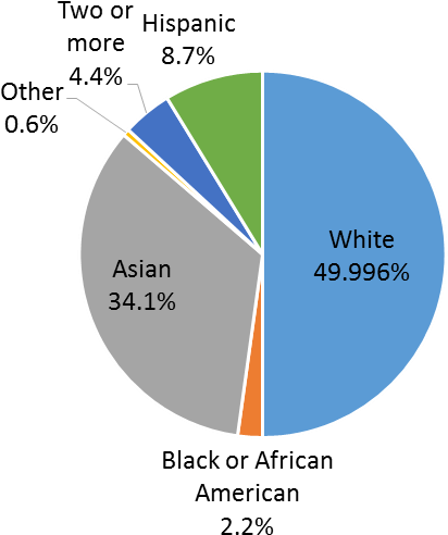 Race/ethnic Distribution - Bellevue Demographics Clipart (587x529), Png Download