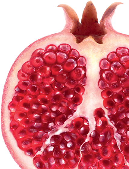 Colour Enhancing - Lingonberry Clipart (720x773), Png Download