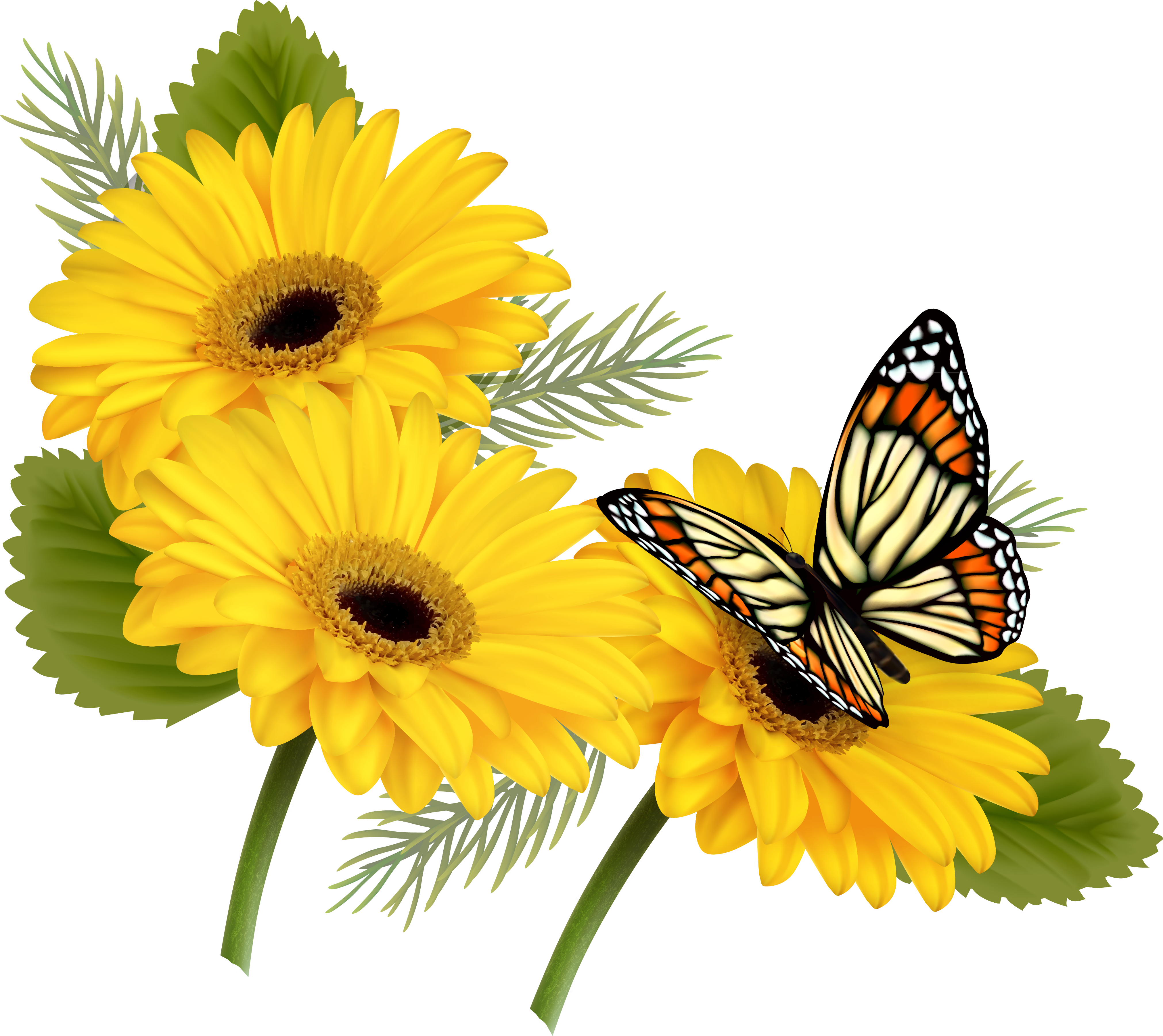 Flower With Butterfly Png Clipart (4410x3808), Png Download