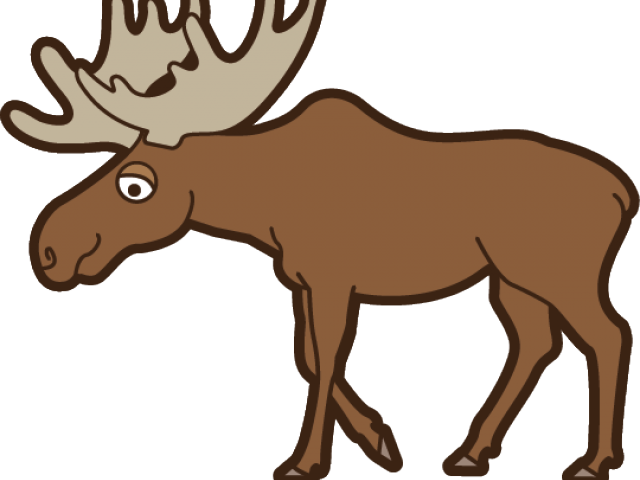 Moose Clipart - Png Download (640x480), Png Download