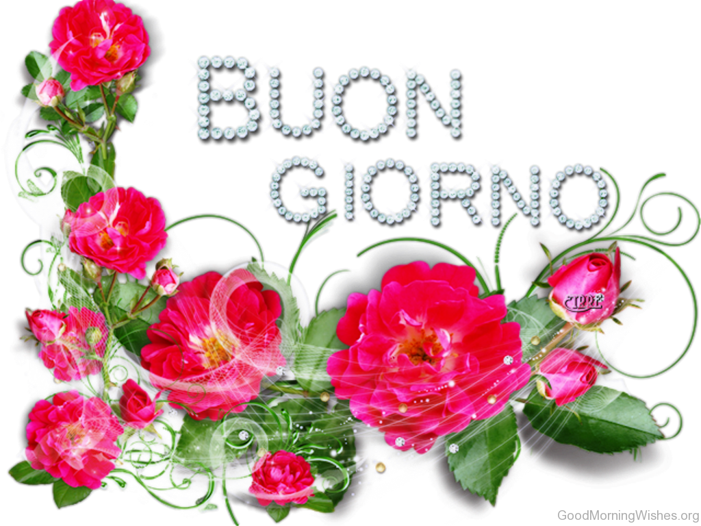 Good Morning Stunning Pic Of - Good Morning Images In Italian Language Clipart (1024x768), Png Download