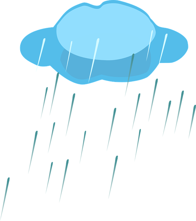 Clipart Clouds Rainy - Rain Clipart Png Transparent Png (640x720), Png Download