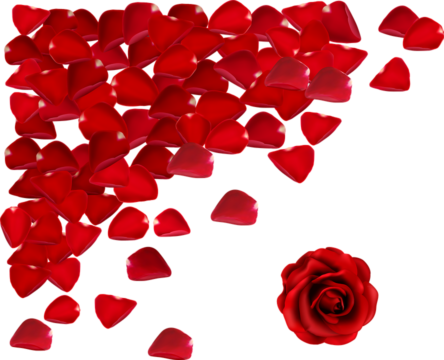 Red Flowers Png - Rose Petal Falling Png Clipart (888x720), Png Download