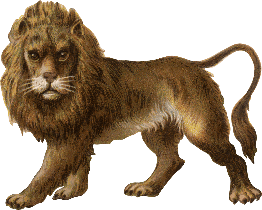 Victorian Vintage Lion - Png Lion Clipart (1073x860), Png Download