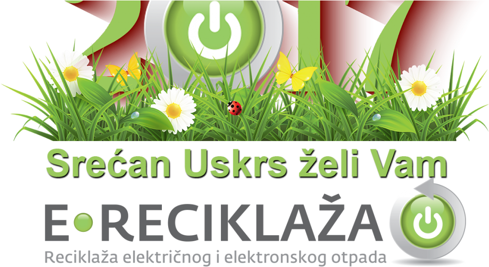 Uskrs Ereciklaå¾a - African Daisy Clipart (1038x576), Png Download