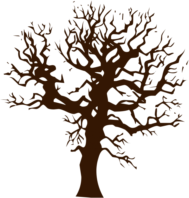 Vector Tree Png Image Transparent Background High Quality - Transparent Background Tree Png Vector Clipart (900x929), Png Download