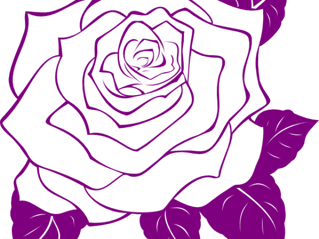 Purple Rose Clipart Leaf Outline - Rose Outline Transparent Background - Png Download (640x480), Png Download