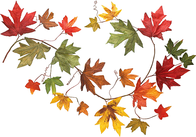 Autumn To Openclipart Garland Download Free Image Clipart - Clip Art - Png Download (700x629), Png Download