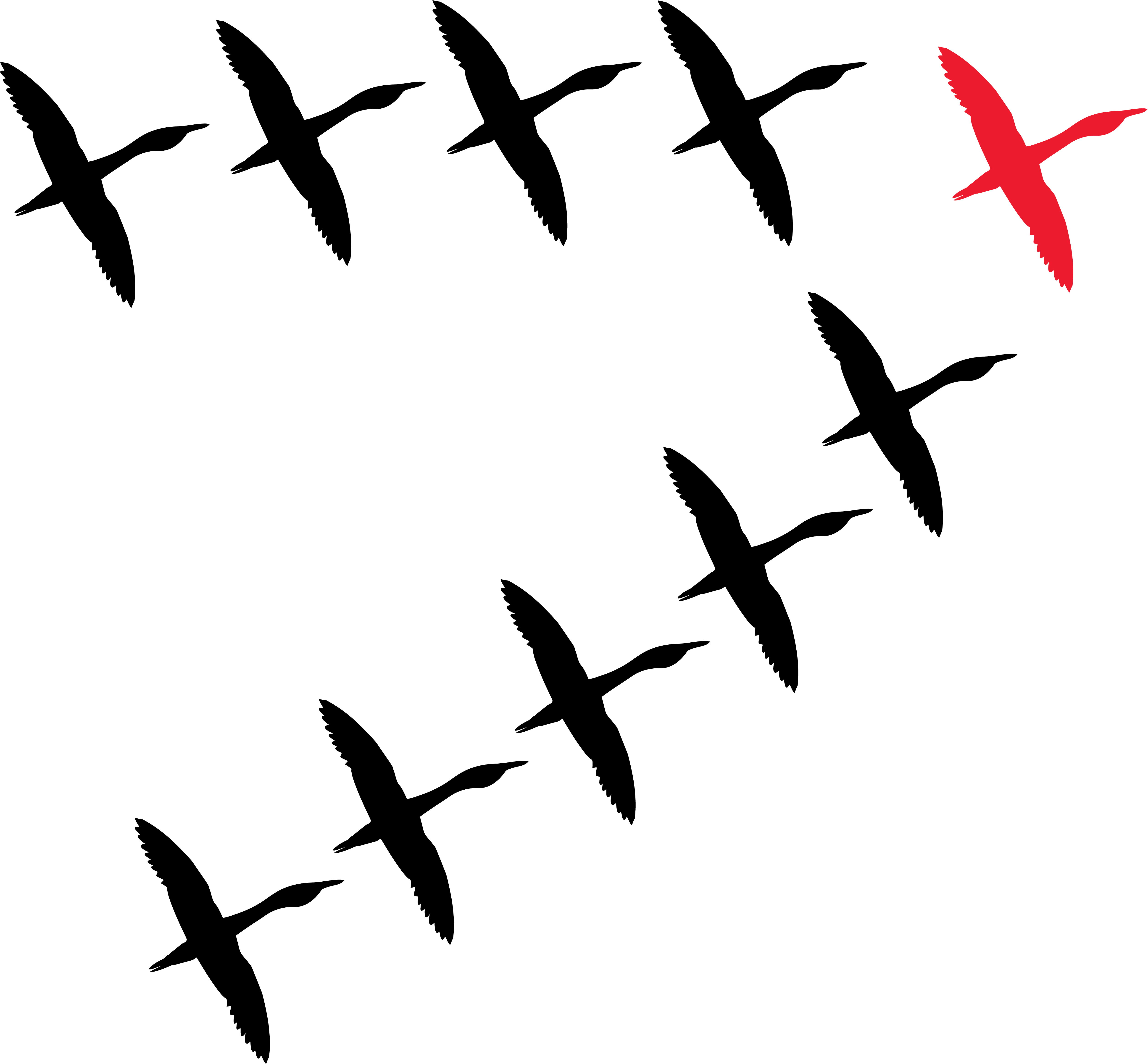 Leadership History - Flock Clipart (5733x5968), Png Download