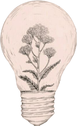 Black And White Stock Idea Aesthetics Art Sketch Bulb - Light Bulb With Plant Inside Tattoo Clipart (564x564), Png Download