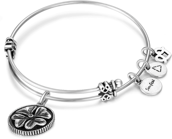 Bracelet Clipart (750x750), Png Download