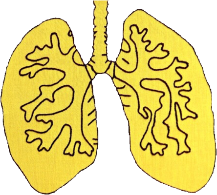 Lungs Yellow Aesthetic Vaporwave Tumblr - Hazel Grace Lancaster Aesthetic Clipart (500x413), Png Download