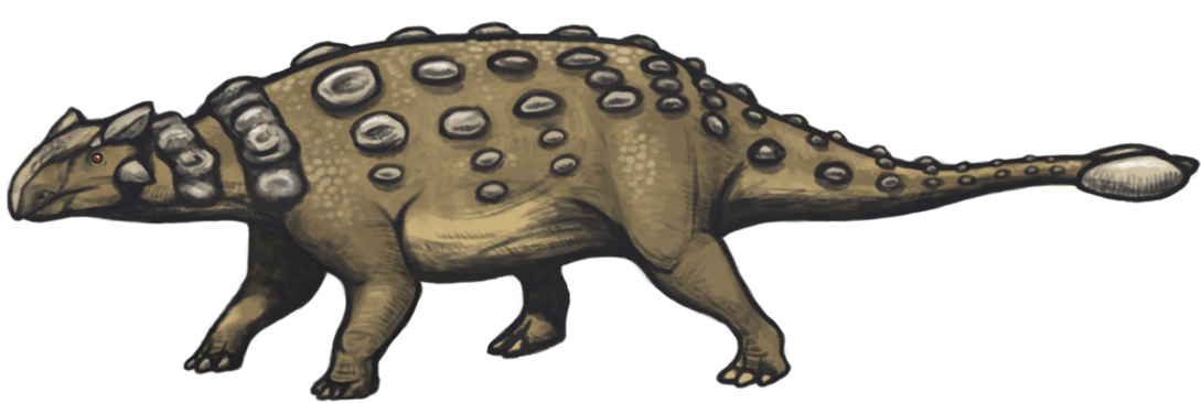 Ankylosaurus Png Clipart (1200x543), Png Download