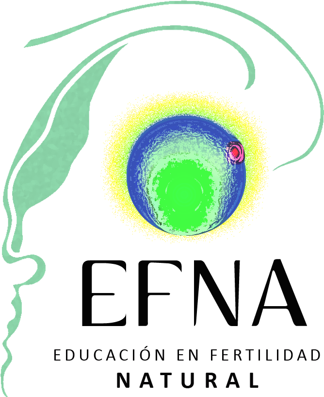 En Efna El Reconocimiento De La Fertilidad Se Enseña - Graphic Design Clipart (1000x1007), Png Download