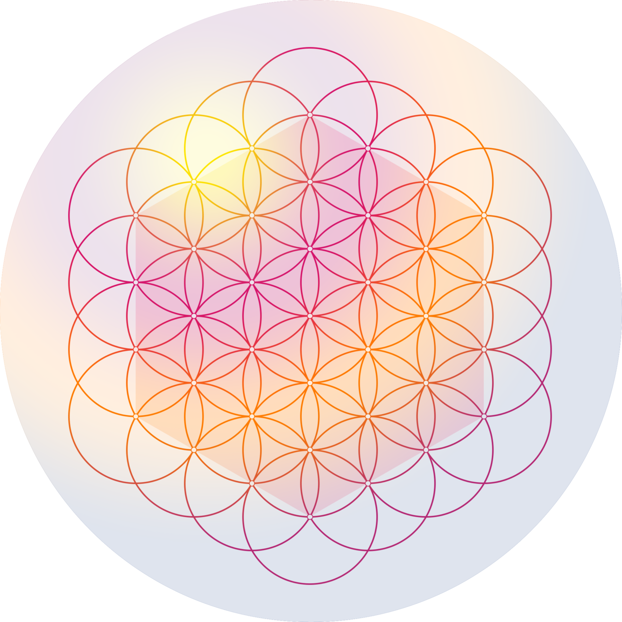 La Flor De La Vida - Circle Clipart (1280x1280), Png Download