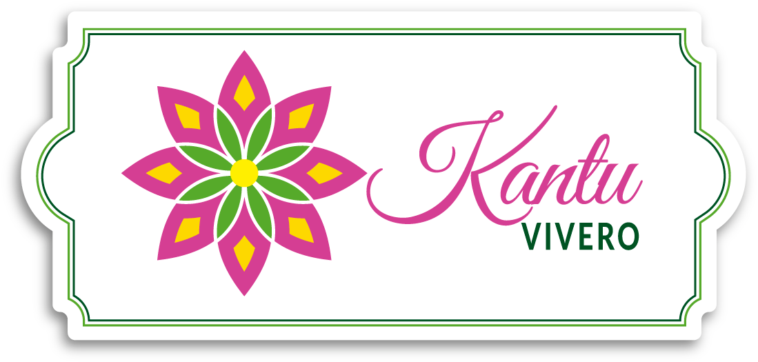 En El Idioma Quechua, Kantu Es El Nombre De Una Flor - Floral Design Clipart (1200x657), Png Download