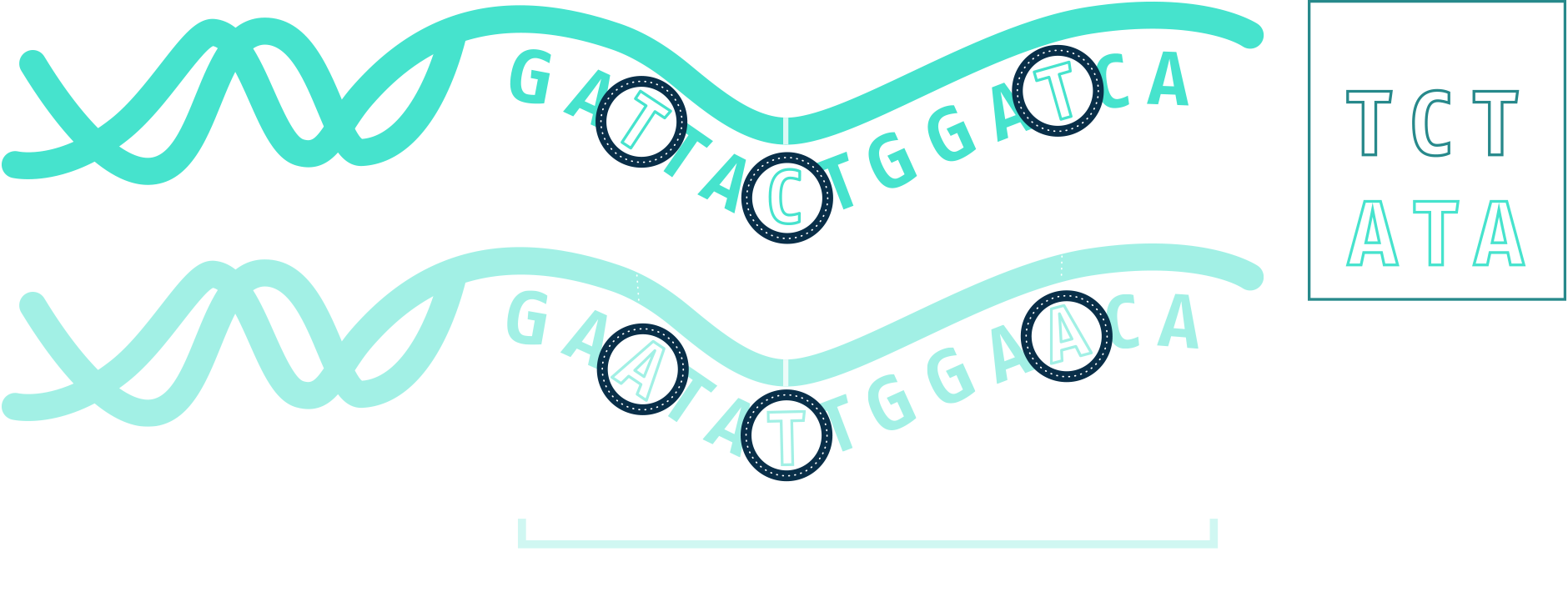 Zoom Image Clipart (1880x722), Png Download