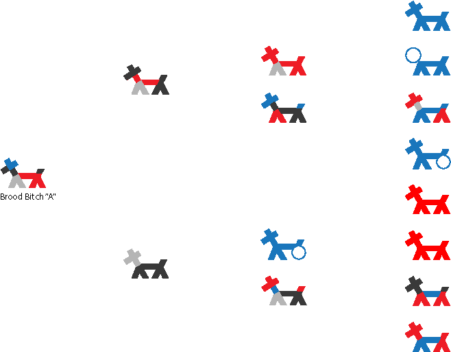 Stick Dog Pedigree - Cartoon Clipart (800x600), Png Download