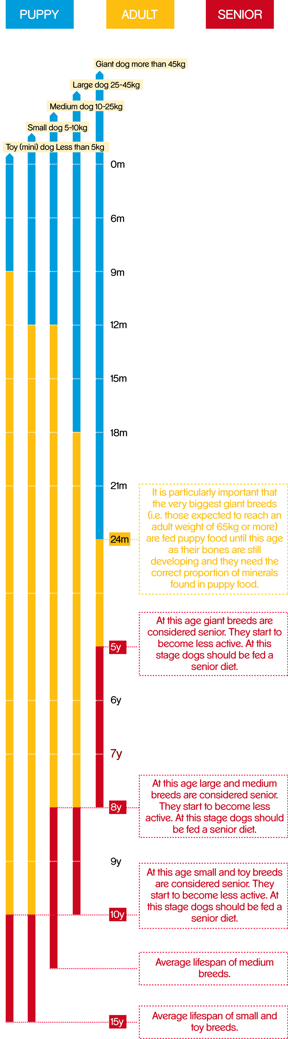 Pedigree® Feeding Guide Table Pedigree® Feeding Guide - Dog Clipart (960x3461), Png Download