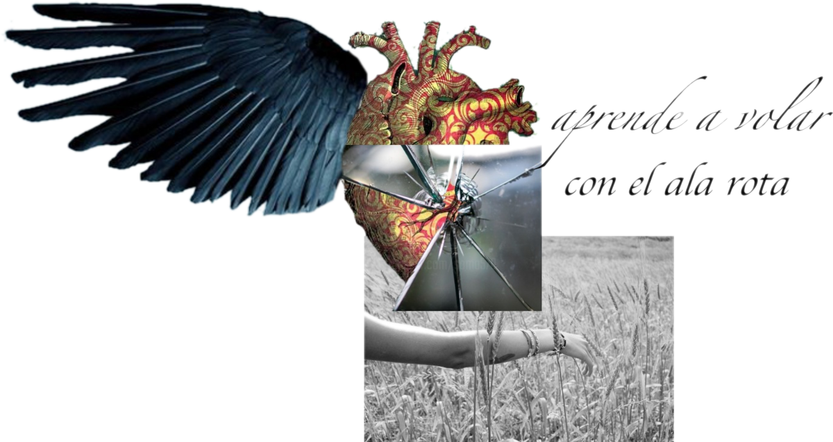 Origami Clipart (1200x637), Png Download