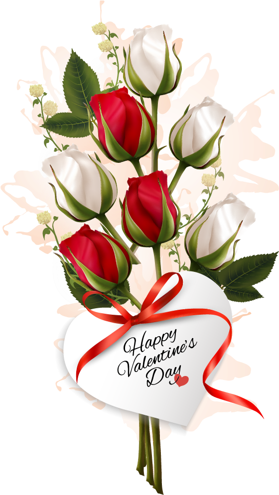漫情人节礼物玫瑰花- White Rose Valentine Clipart , Png - Valentines Day Roses Clipart Transparent Png (560x994), Png Download