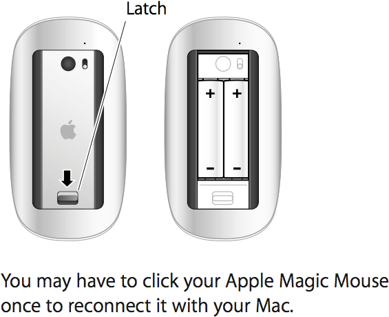 Magic Mouse - New Mac Mouse Clipart (675x493), Png Download