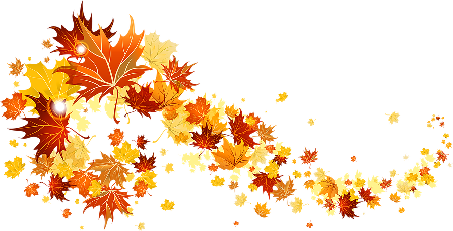 Fall Leaves Transparent Picture - Fall Leaves Transparent Gif Clipart (899x460), Png Download