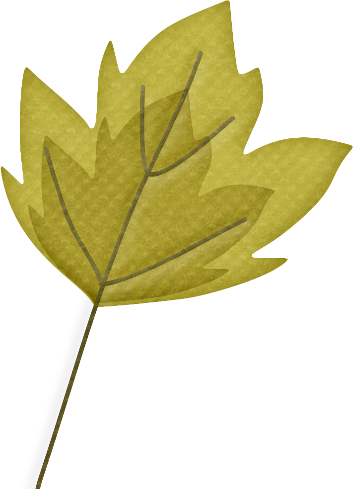 Faℓℓ ‿✿⁀○ - Maple Leaf Clipart (711x983), Png Download