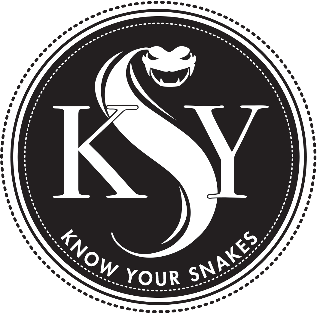 Collana Con Lettera Oro Clipart (1055x1045), Png Download