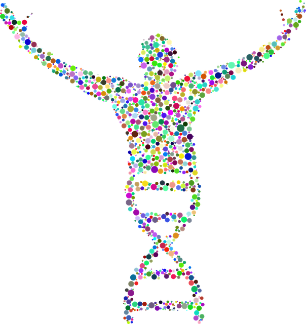 The Computer Science Behind Dna Sequencing - Dna Human Clipart (604x640), Png Download