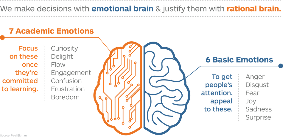 Emotions From Ages Inforgraphic - Oxford Royale Academy Clipart (950x461), Png Download