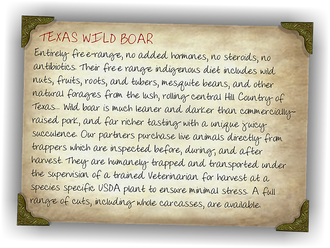 In The 1930s, Eurasian Wild Boars Were Brought To Texas - Handwriting Clipart (677x510), Png Download