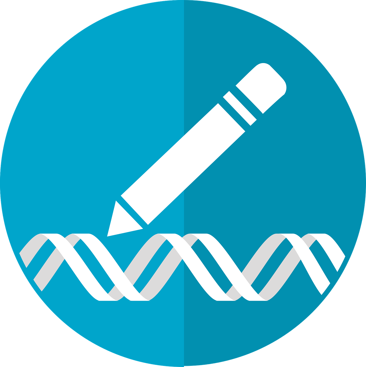 Gene Editing Icon 2375787 1280 - Modify Icon Clipart (1277x1280), Png Download